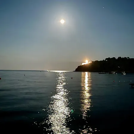 Vanna Sunset *