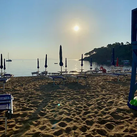 Vanna Sunset *